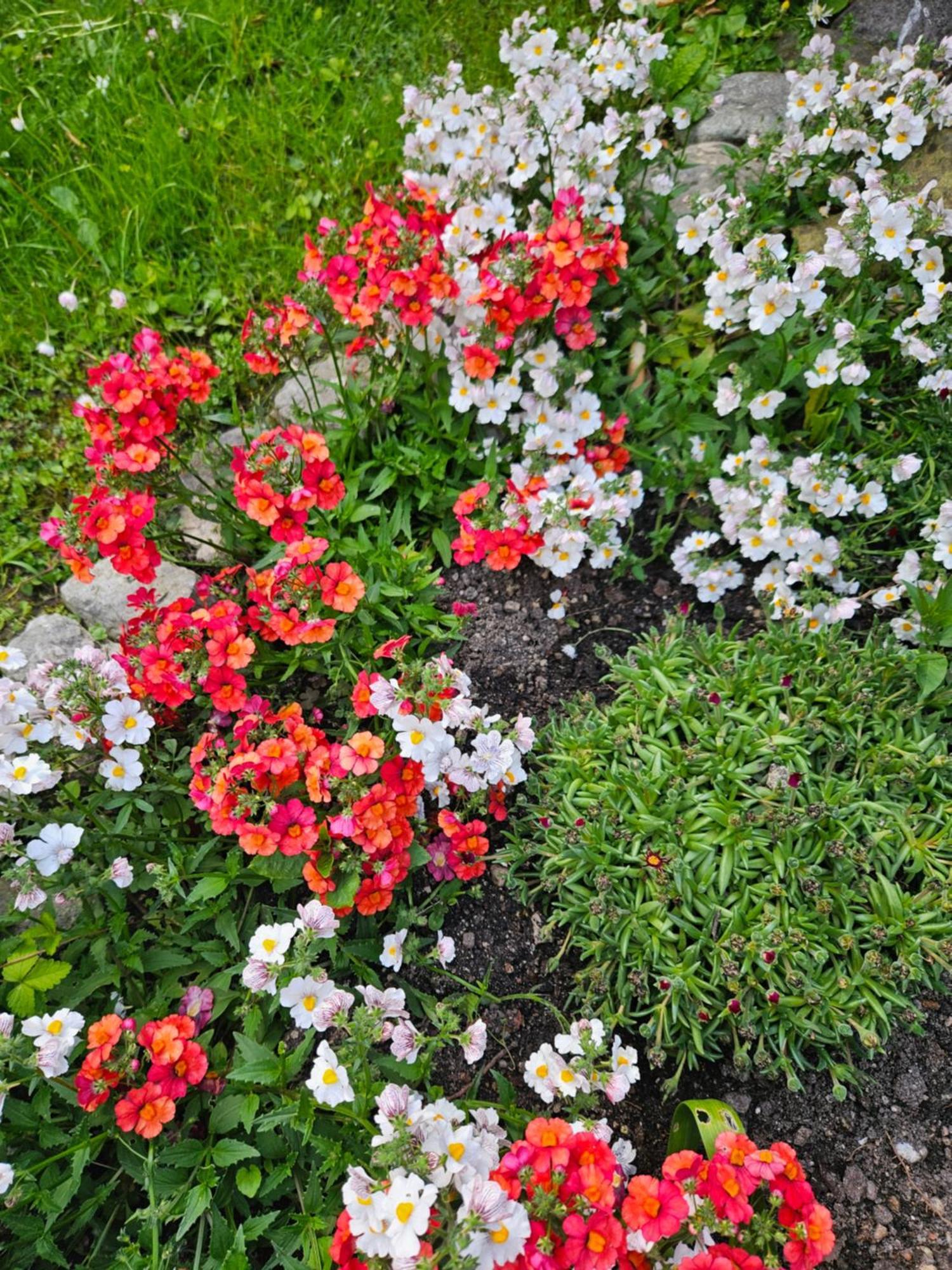 Gardainn Giardino 38A Riva del Garda Extérieur photo