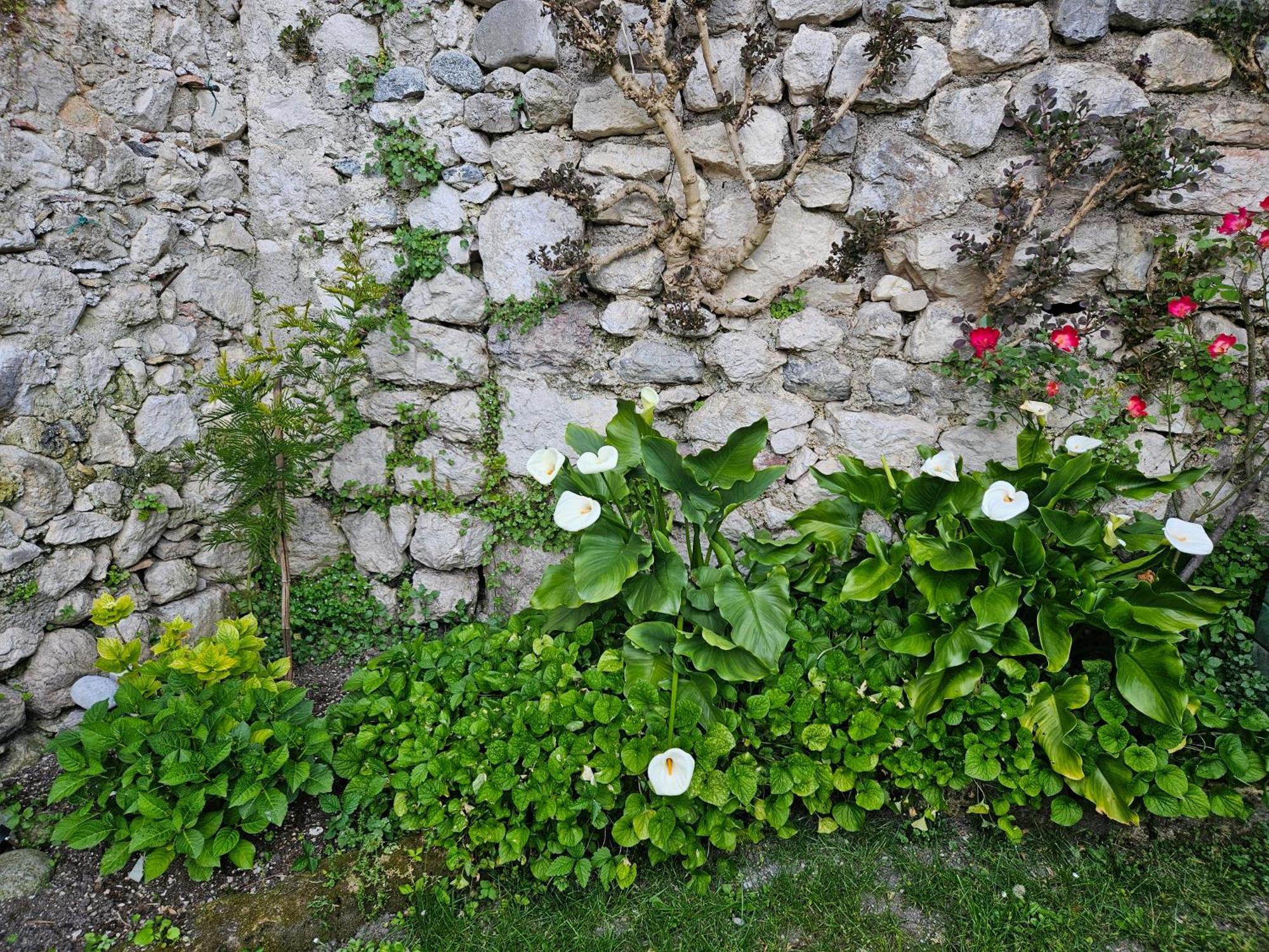 Gardainn Giardino 38A Riva del Garda Extérieur photo
